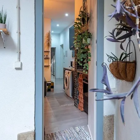 Modern Rustic In Graca Apartman *