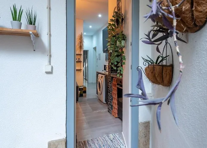 Modern Rustic In Graca Apartmán *